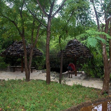 Baraka Aquarium Bungalows Nungwi Dış mekan fotoğraf