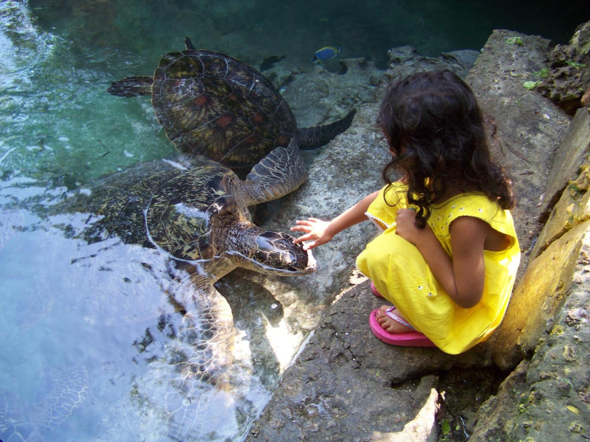 Baraka Aquarium Bungalows Nungwi Dış mekan fotoğraf