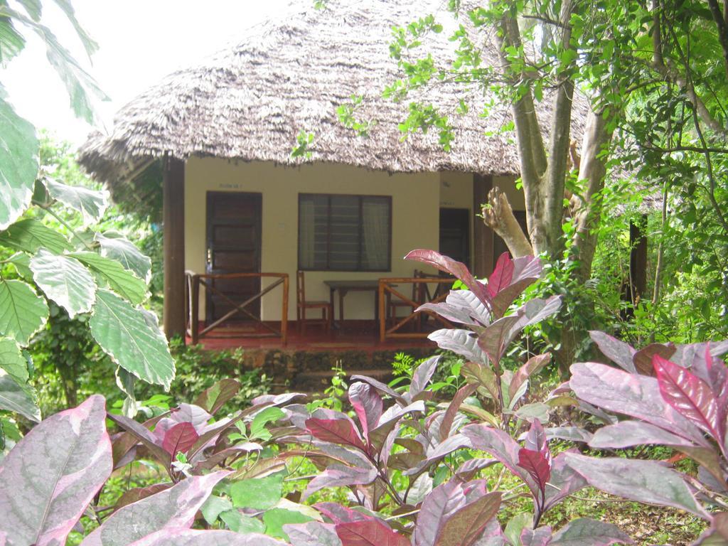 Baraka Aquarium Bungalows Nungwi Dış mekan fotoğraf