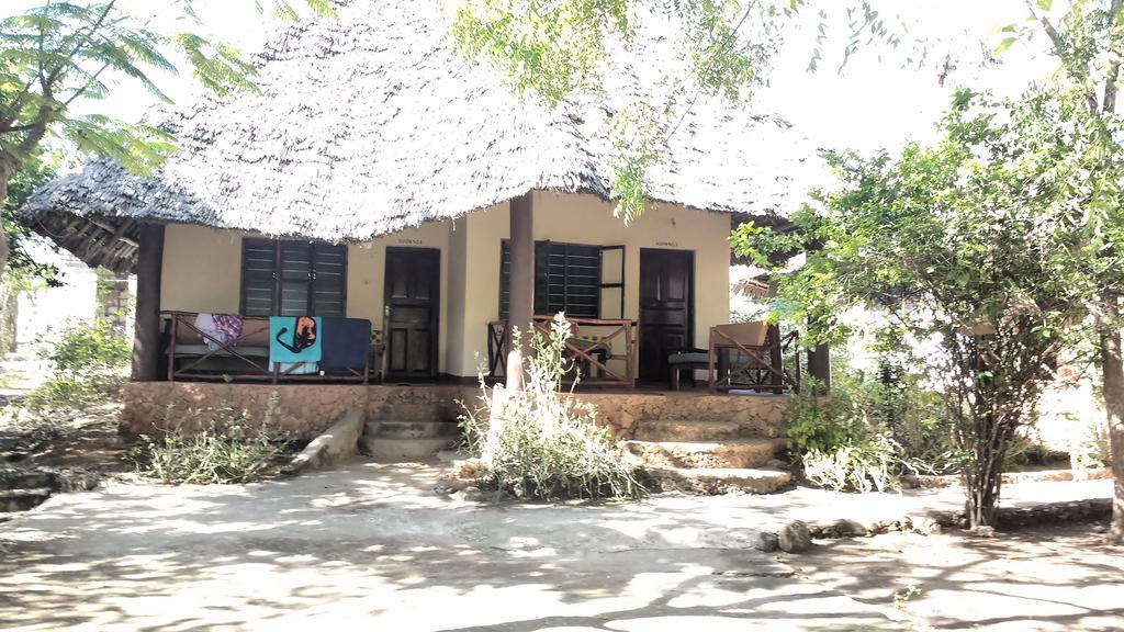 Baraka Aquarium Bungalows Nungwi Dış mekan fotoğraf