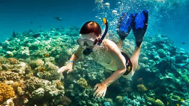 Baraka Aquarium Bungalows Nungwi Dış mekan fotoğraf