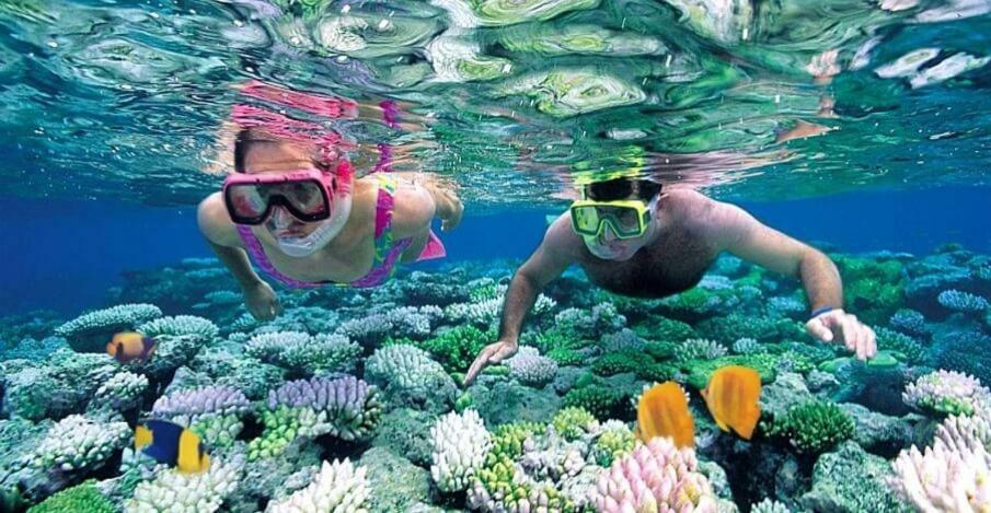 Baraka Aquarium Bungalows Nungwi Dış mekan fotoğraf