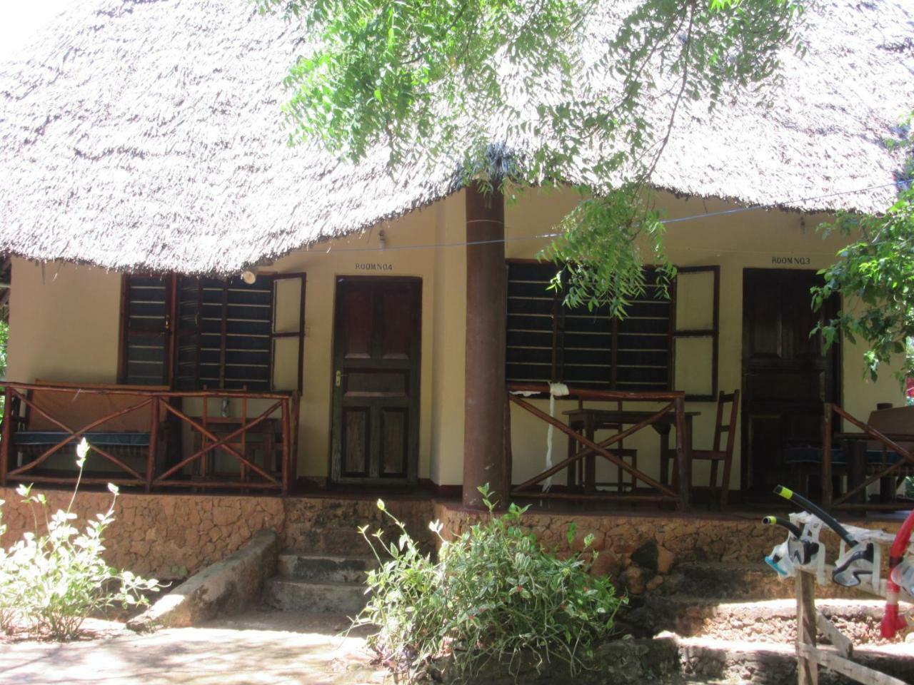 Baraka Aquarium Bungalows Nungwi Dış mekan fotoğraf