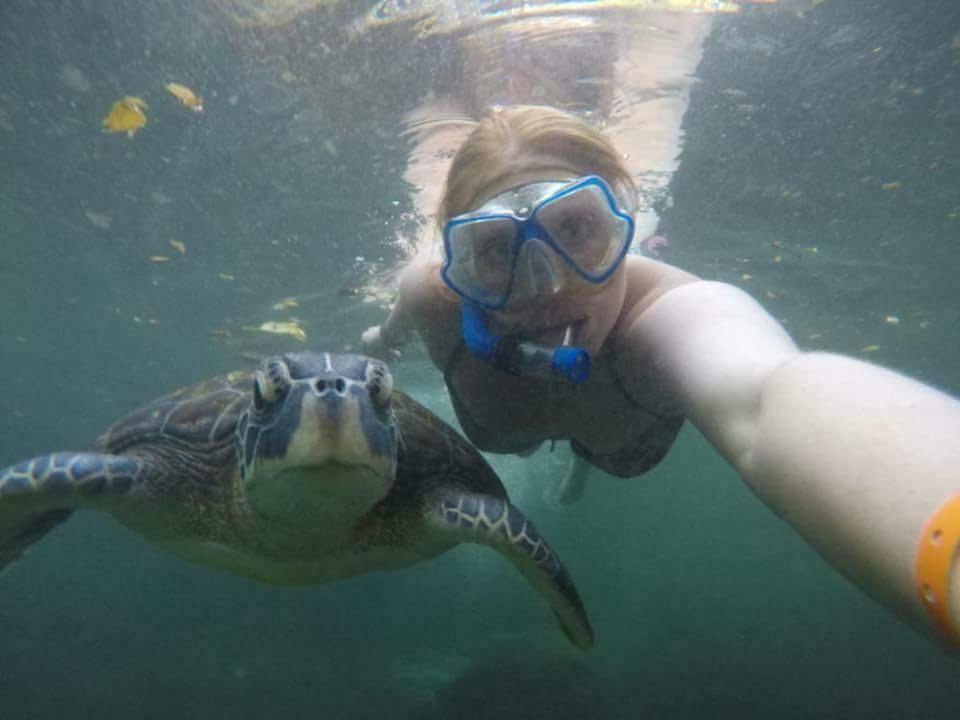 Baraka Aquarium Bungalows Nungwi Dış mekan fotoğraf