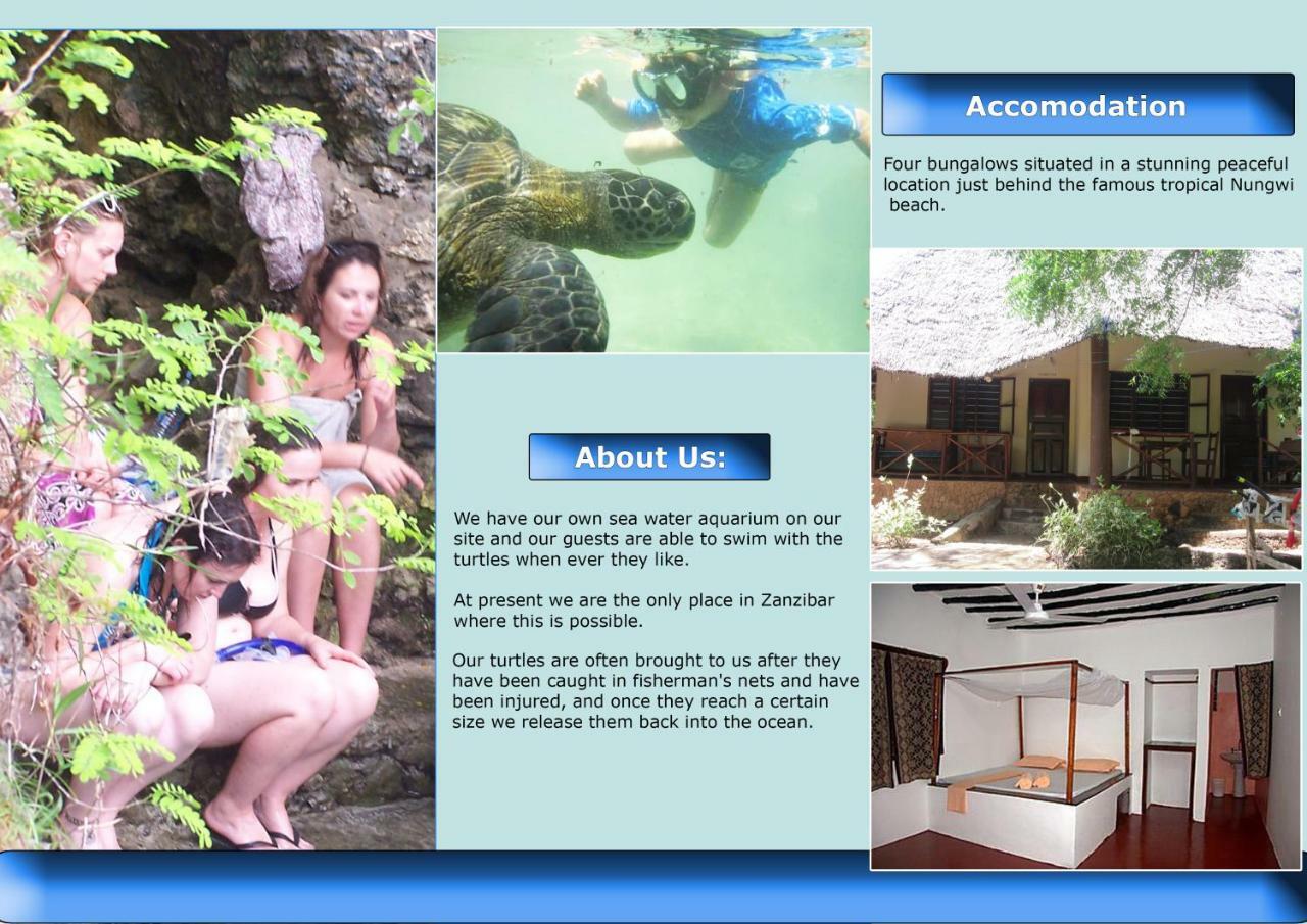 Baraka Aquarium Bungalows Nungwi Dış mekan fotoğraf