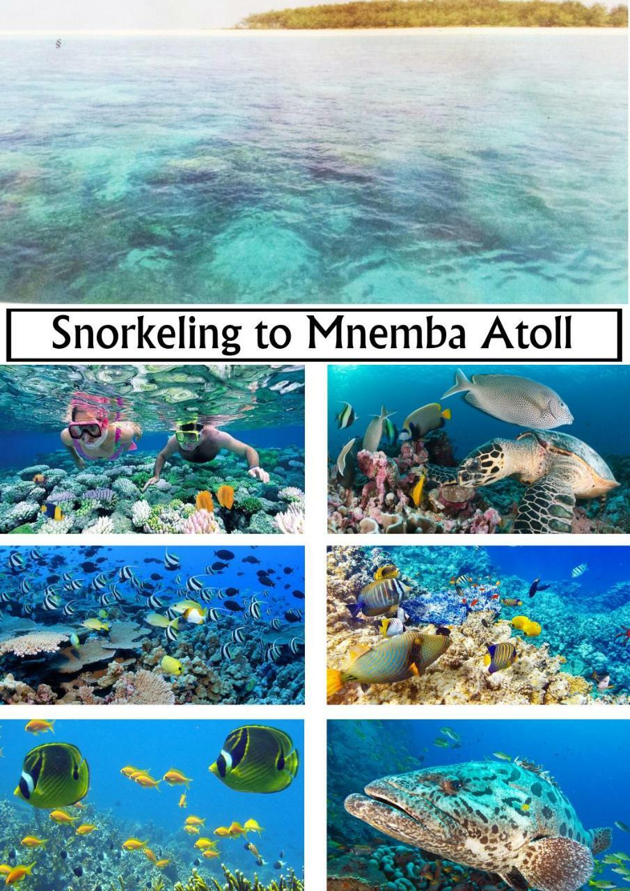 Baraka Aquarium Bungalows Nungwi Dış mekan fotoğraf
