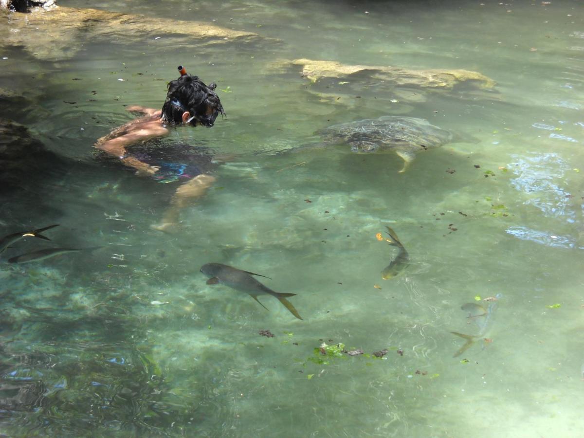 Baraka Aquarium Bungalows Nungwi Dış mekan fotoğraf